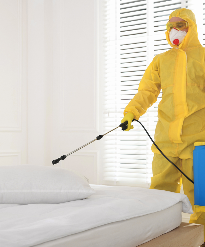 Professional Pest Control Team in Charleston